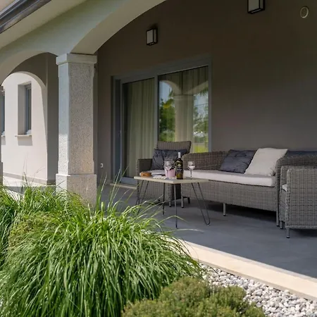 Villa Family Filton With Wellness In Vizinada *