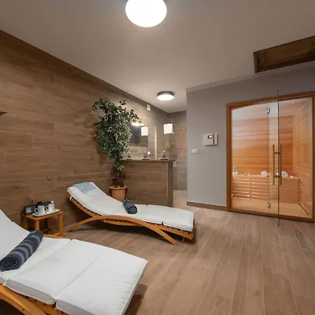 Villa Family Filton With Wellness In Vizinada *